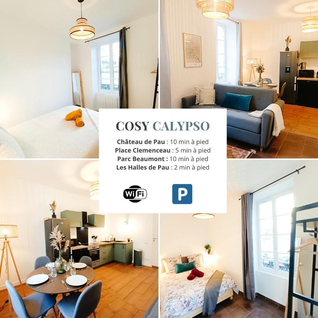 Cosy Calypso 2Ch - Quartier Des Halles & Parking Pau Εξωτερικό φωτογραφία